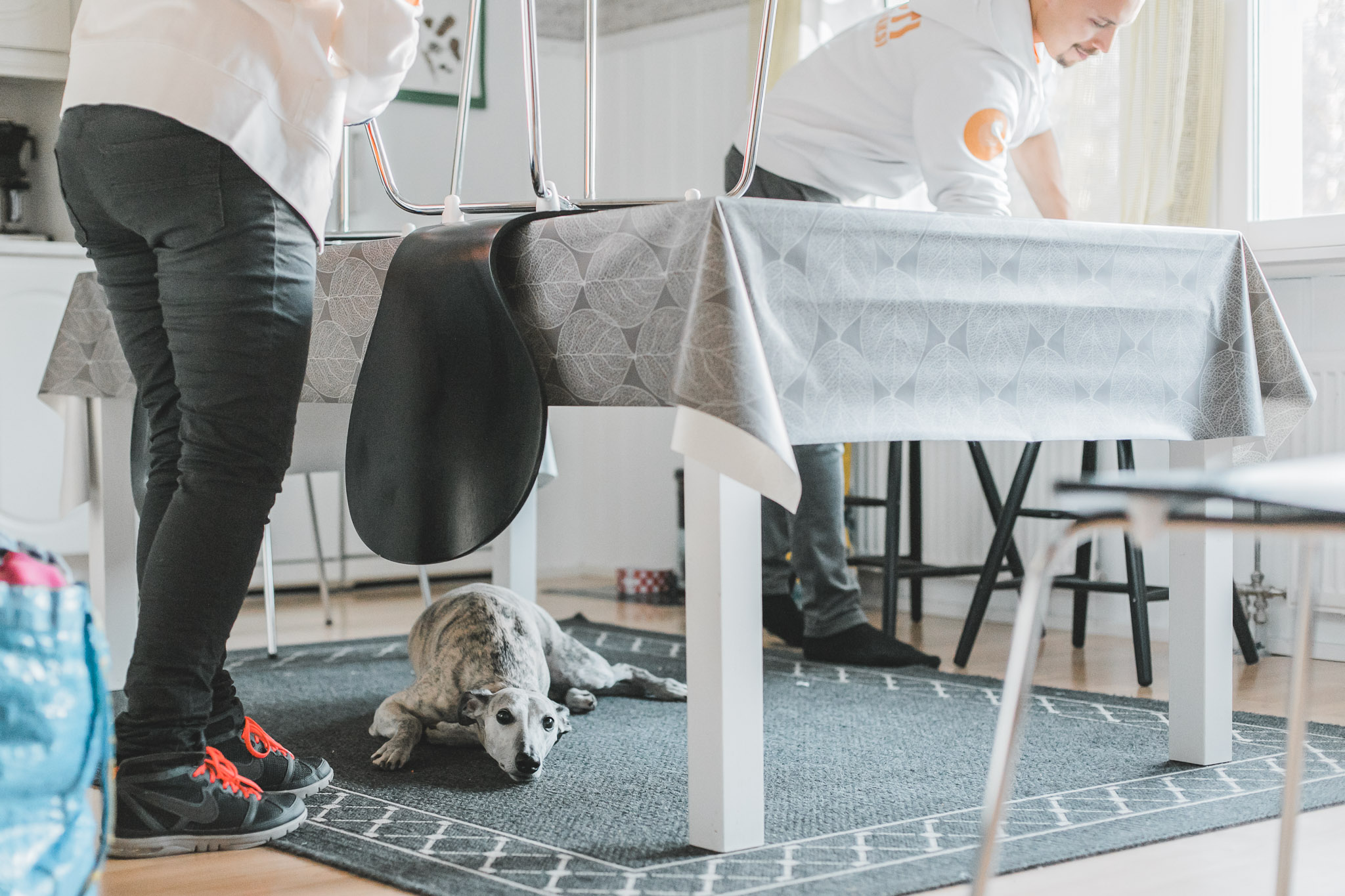 5 vinkkiä viikoittaiseen ylläpitosiivoukseen – helpompi viikkosiivous