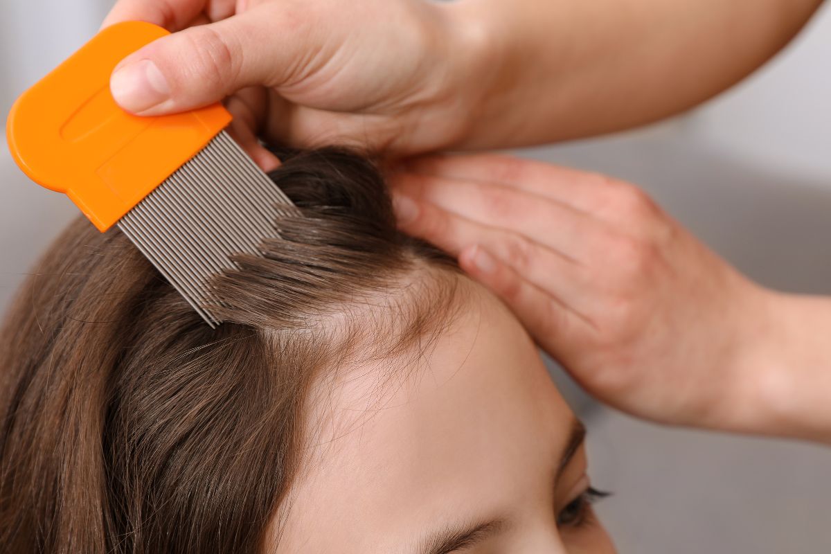 Apua, lapsi toi kotiin täitä! – Näin pääset niistä eroon